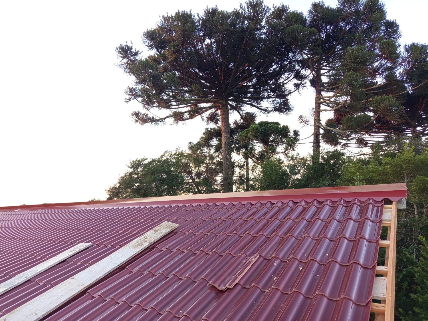 Projeto A.S.F Calhas 19